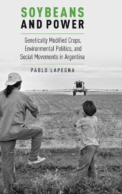 Soybeans and Power(English, Hardcover, Lapegna Pablo)