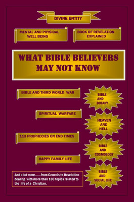 WHAT BIBLE BELIEVERS MAY NOT KNOW(Paperback, SushmaLuiz)