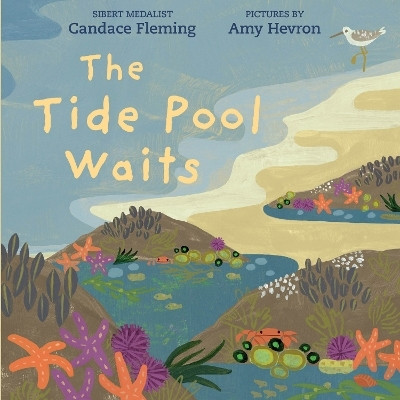The Tide Pool Waits(English, Paperback, Fleming Candace)