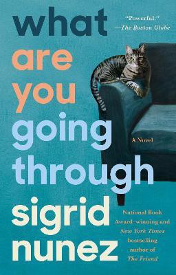 What Are You Going Through(English, Paperback, Nunez Sigrid)