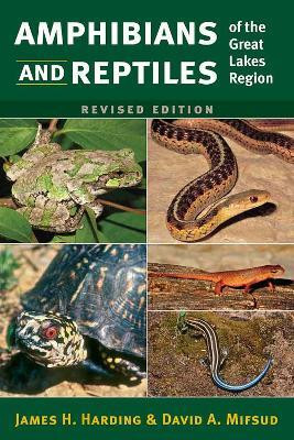 Amphibians and Reptiles of the Great Lakes Region, Revised Ed.(English, Paperback, Harding James H.)