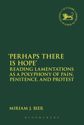 Perhaps there is Hope'(English, Paperback, Bier Miriam J.)