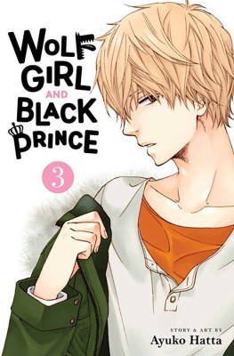 Wolf Girl and Black Prince, Vol. 3: Volume 3(English, Paperback, Hatta Ayuko)