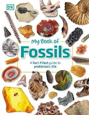 My Book of Fossils(English, Hardcover, DK Dean R.)