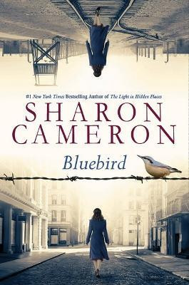Bluebird(English, Hardcover, Cameron Sharon)