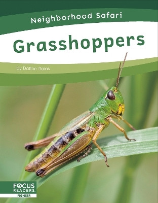 Grasshoppers(English, Hardcover, Rains Dalton)