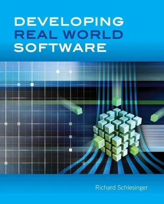 Developing Real World Software(English, Paperback, Schlesinger Richard)