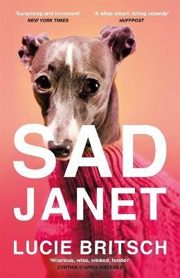 Sad Janet(English, Paperback, Britsch Lucie)