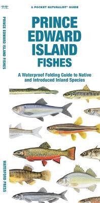 Prince Edward Island Fishes(English, Pamphlet, Matthew Morris Matthew Morris)