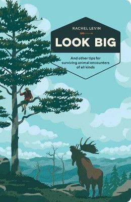 Look Big(English, Paperback, Levin Rachel)