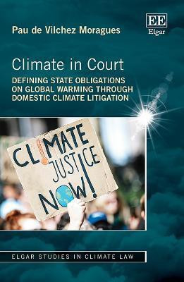 Climate in Court(English, Hardcover, de Vilchez Moragues Pau)