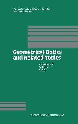 Geometrical Optics and Related Topics(English, Hardcover, Colombini Ferruccio)