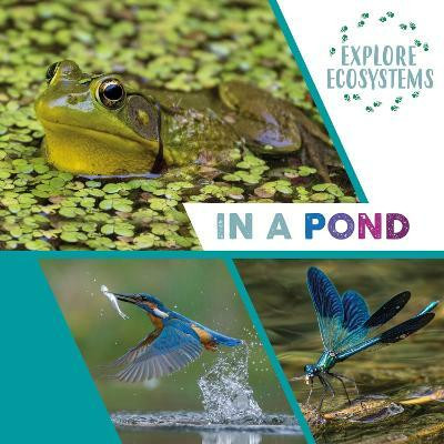 Explore Ecosystems: In a Pond(English, Hardcover, Ridley Sarah)