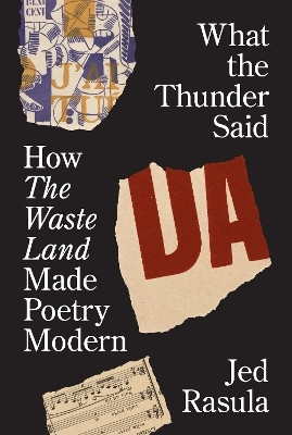What the Thunder Said(English, Paperback, Rasula Jed)