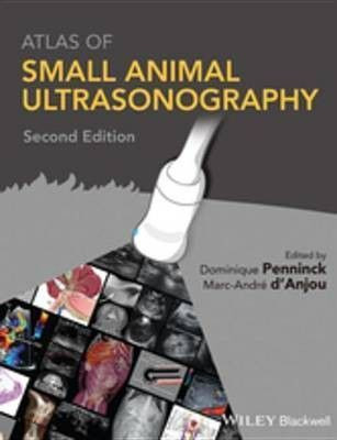 Atlas of Small Animal Ultrasonography(English, Electronic book text, unknown)