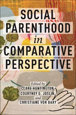 Social Parenthood in Comparative Perspective(English, Hardcover, unknown)