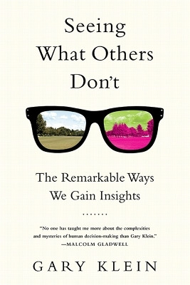 Seeing What Others Don't(English, Paperback, Klein Gary)