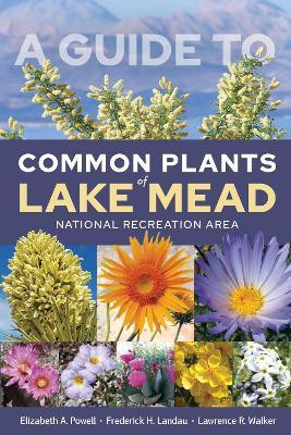 A Guide to Common Plants of Lake Mead National Recreation Area(English, Paperback, Powell Elizabeth A.)