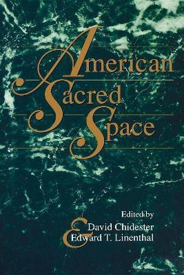 American Sacred Space(English, Paperback, unknown)