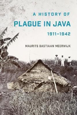 A History of Plague in Java, 1911-1942(English, Paperback, Meerwijk Maurits Bastiaan)