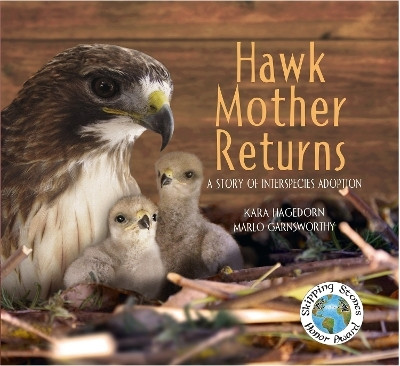 Hawk Mother Returns(English, Hardcover, Hagedorn Kara)
