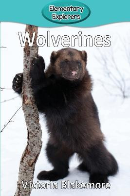 Wolverines(English, Paperback, Blakemore Victoria)