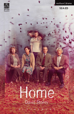 Home(English, Paperback, Storey David)