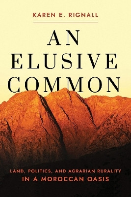 An Elusive Common(English, Hardcover, Rignall Karen E.)