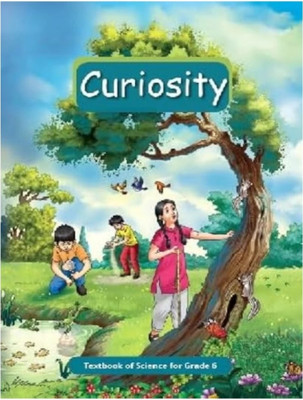 NCERT class 6 Textbook Curiosity Science(Paperback, Team Ncert)