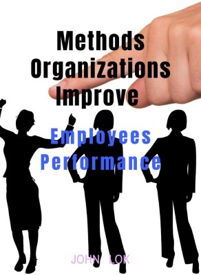 Methods Organizations Improve(English, Paperback, Lok John)