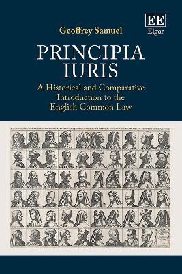 Principia Iuris(English, Hardcover, Samuel Geoffrey)