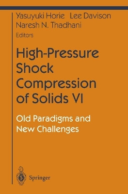 High-Pressure Shock Compression of Solids VI(English, Paperback, unknown)