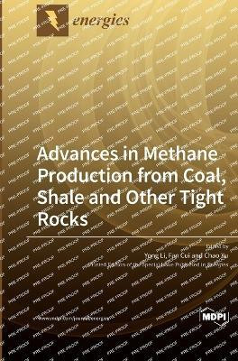 Advances in Methane Production from Coal, Shale and Other Tight Rocks(English, Hardcover, unknown)