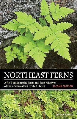 Northeast Ferns(English, Paperback, Chadde Steve W)