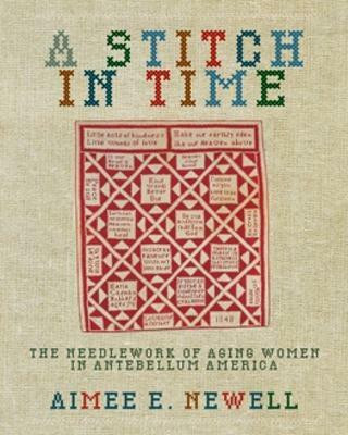 A Stitch in Time(English, Paperback, Newell Aimee E.)