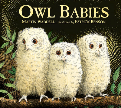 Owl Babies(English, Board book, Waddell Martin)