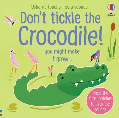 Don't Tickle the Crocodile!(English, Board book, Taplin Sam)