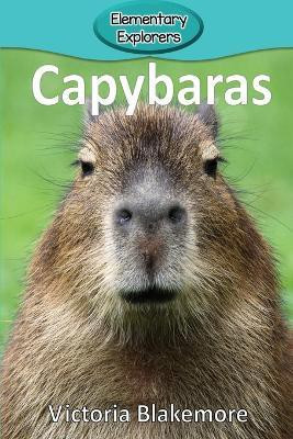 Capybaras(English, Paperback, Blakemore Victoria)