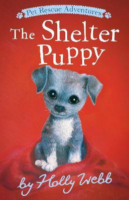 The Shelter Puppy(English, Paperback, Webb Holly)