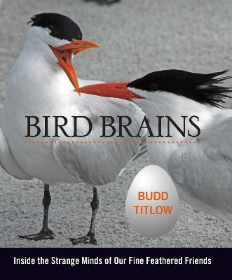 Bird Brains(English, Electronic book text, Titlow Budd)