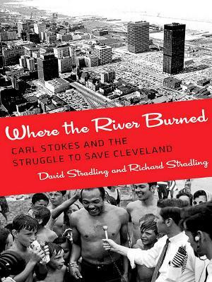 Where the River Burned(English, Hardcover, Stradling David)