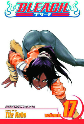Bleach, Vol. 17(English, Paperback, Kubo Tite)
