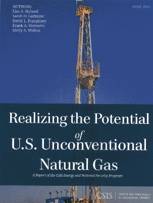 Realizing the Potential of U.S. Unconventional Natural Gas(English, Paperback, Ladislaw Sarah O.)