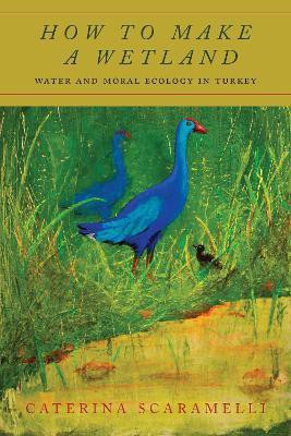 How to Make a Wetland(English, Paperback, Scaramelli Caterina)
