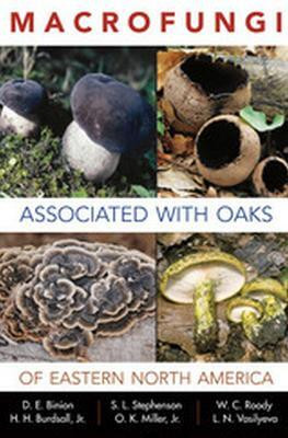 Macrofungi Associated with Oaks of Eastern North America(English, Paperback, Binion Denise E.)