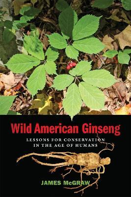 Wild American Ginseng(English, Paperback, McGraw James)