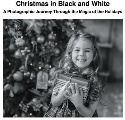 Christmas in Black and White(English, Paperback, Sechovicz David)