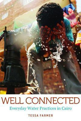 Well Connected(English, Paperback, Farmer Tessa)