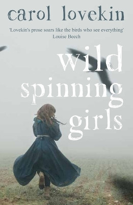Wild Spinning Girls(English, Paperback, Lovekin Carol)