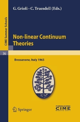 Non-linear Continuum Theories(English, Paperback, unknown)